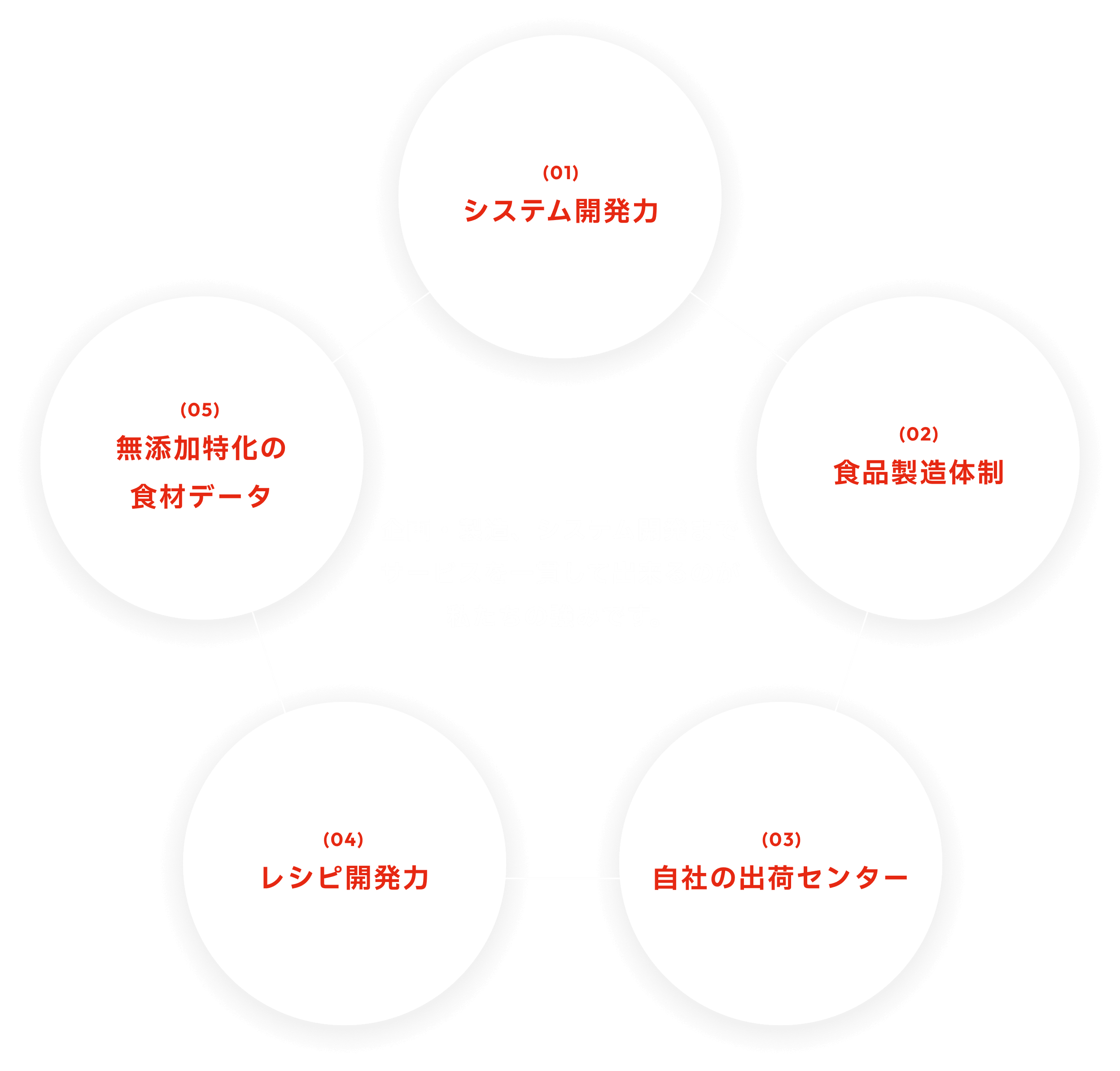AIVICKの特徴